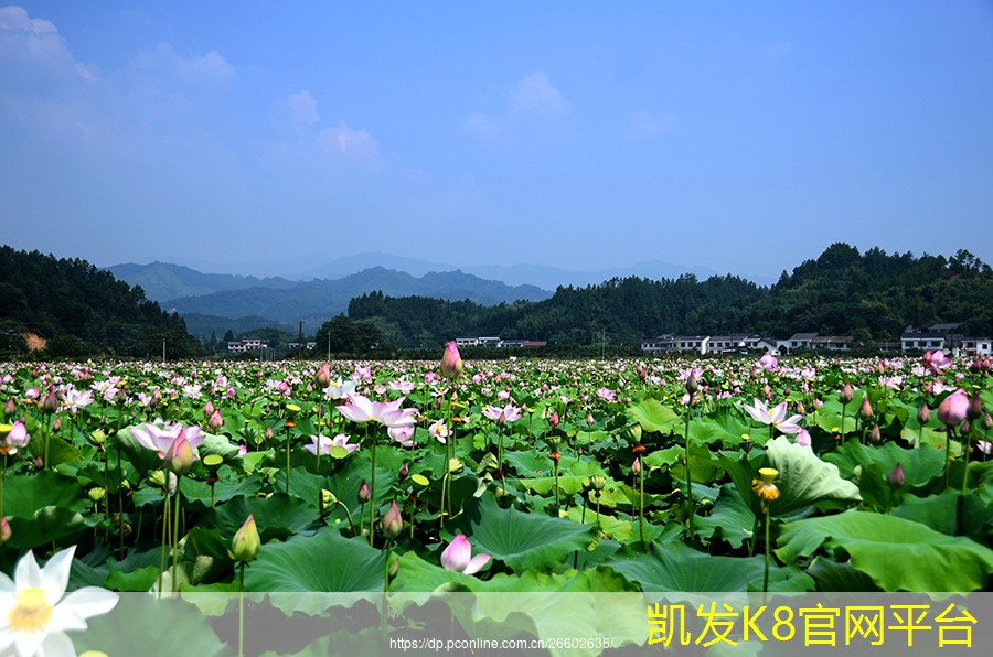 家庭装修用什么牌子电线比较好