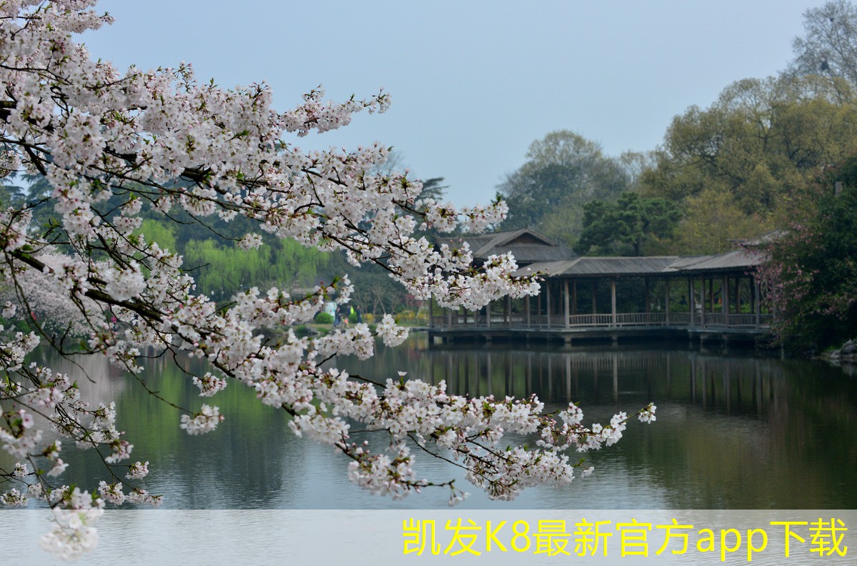 餐饮类装修设计公司排名